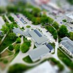 pexels-photo-396303-2